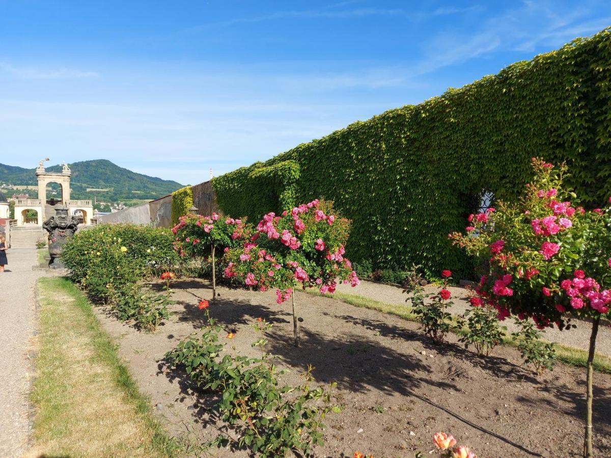 Apartments Rose Garden Дечин Екстер'єр фото